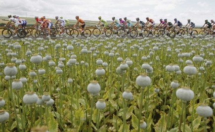 The pack of riders cycle past a field during the sixth stage of the 99th Tour de France cycling race between Epernay and Metz